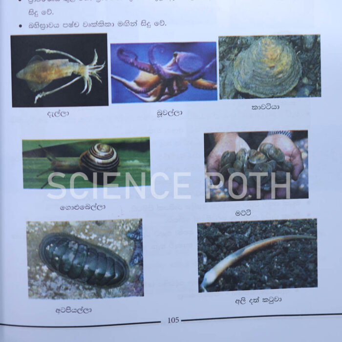 Bio Resource Book, Bio Sampath Potha,